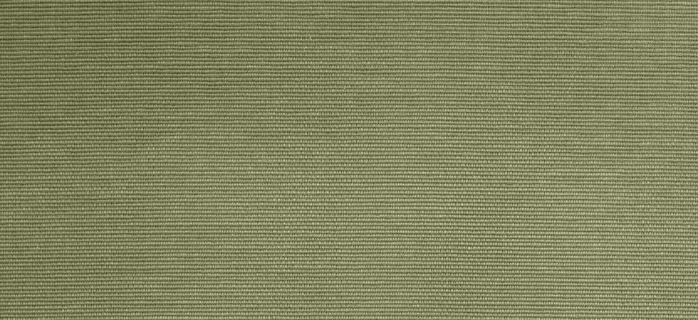 bengaline-sage