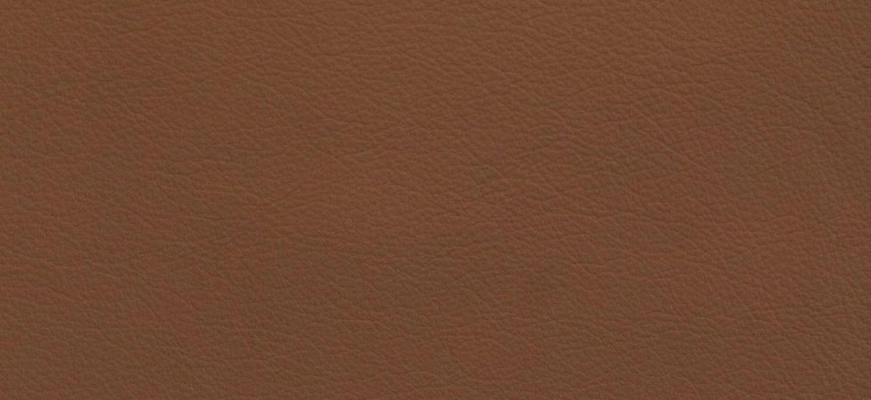 classic-leather-moleskin