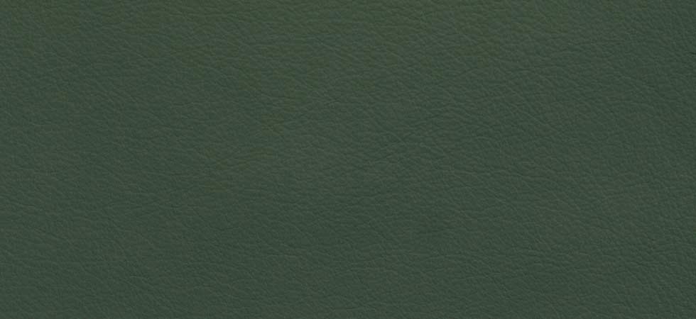 classic-leather-moss