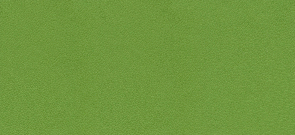 classic-leather-apple-green