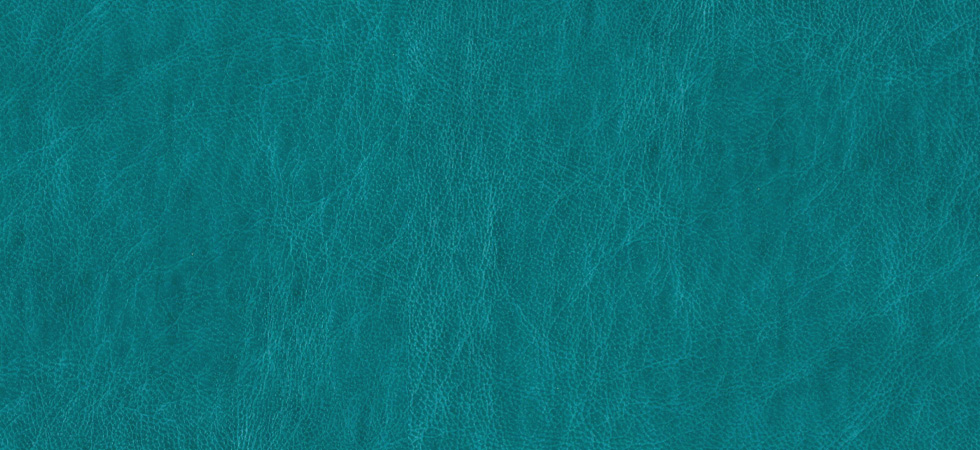 <Turquoise-Frosting