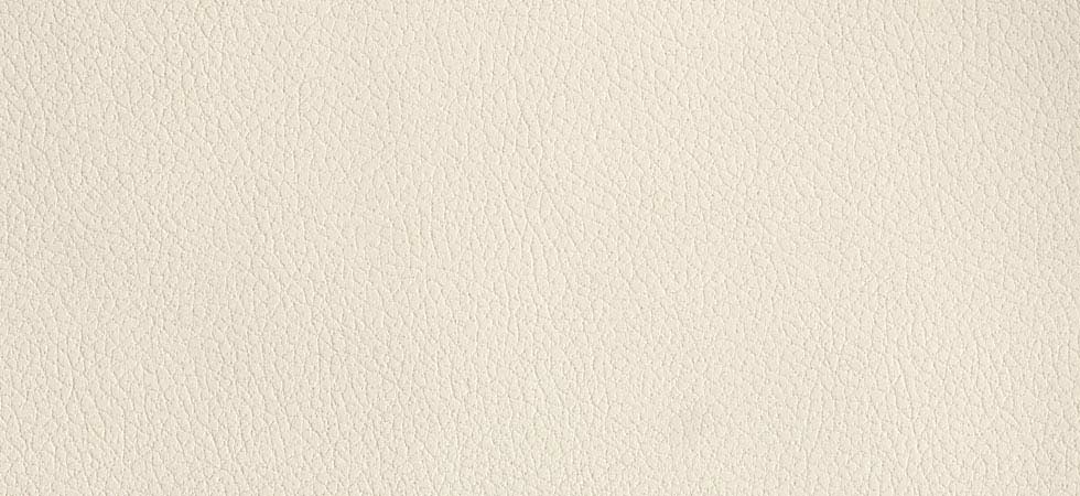 microleather-eggshell