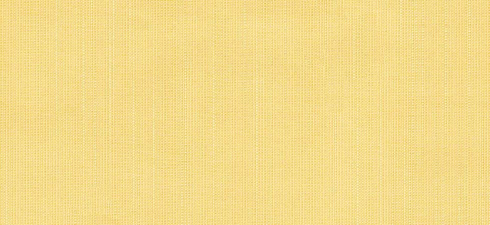 silk-buttercup